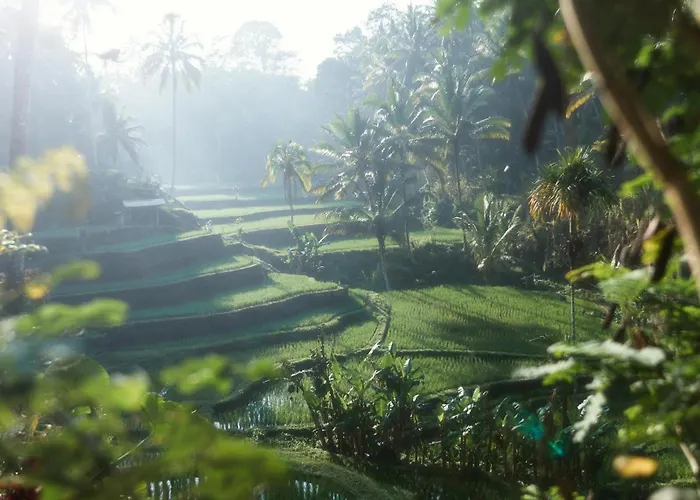 The R Pererenan Aparthotel Canggu (Bali)